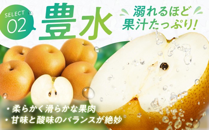 果物 梨 幸水 なし ナシ 果物