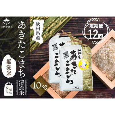 ふるさと納税 秋田市 《定期便12ヶ月》秋田市雄和産あきたこまち清流米10kg【無洗米】|15_akn-dd1012m