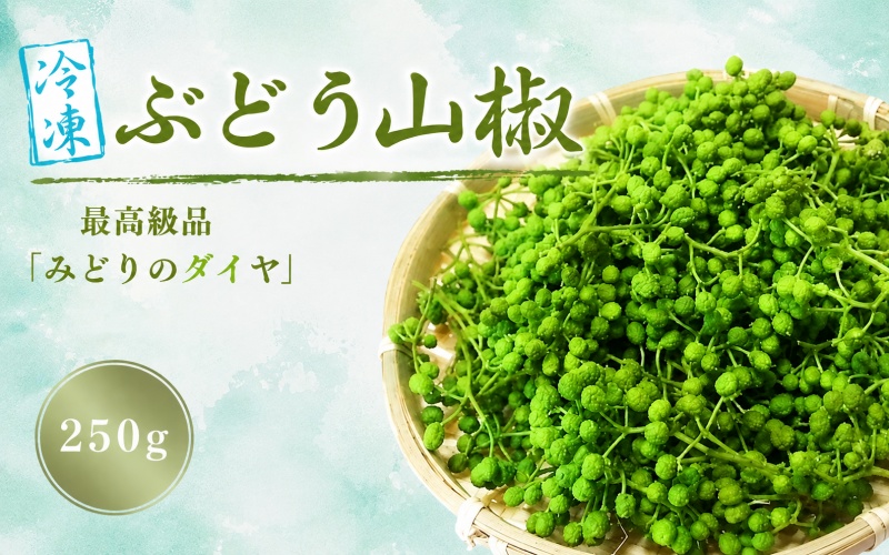  冷凍 ぶどう 生実山椒 250g / 山椒 さんしょう 香辛料 調味料 薬味 冷凍 ぶどう山椒 生山椒 和歌山県 紀美野町 生実山椒【twn044-cbudo-250】