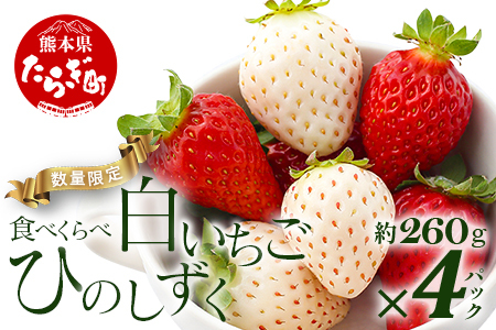 【先行予約】熊本県産いちご ひのしずく・白いちご 約260g×4パック 産地直送 国産 新鮮 フレッシュ 果物 苺 イチゴ フルーツ 103-0008