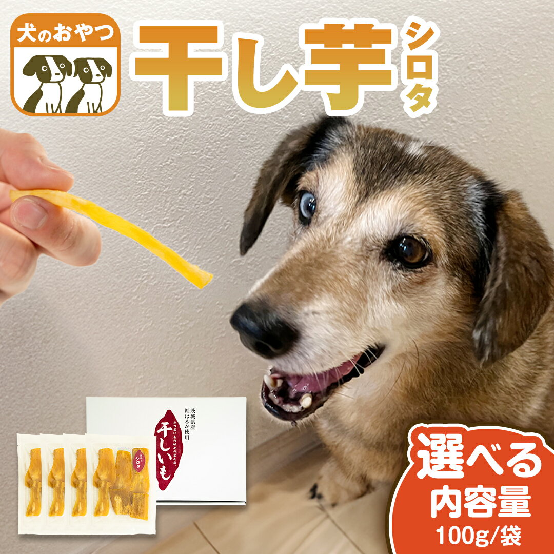 【ふるさと納税】《 選べる 袋数 》 犬 の おやつ 干し芋 シロタ ( 100g × 4袋 ～ 8袋 ) 国産 手作り さつまいも 芋 お菓子 小分け 個包装 少量 栄養 食物繊維 噛みごたえ ドッグフード わんちゃん わんこ ペット ペットフード マツコの知らない世界 スーパーツカダ