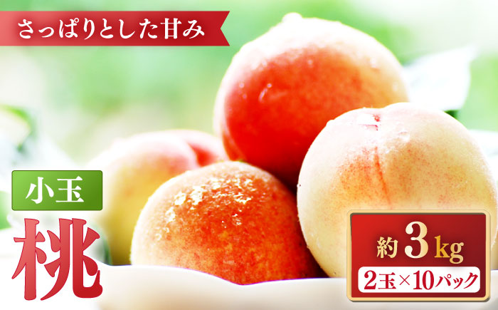 【2025年5月下旬～順次発送】特別栽培 小玉 ハウスもも（Mサイズ：10パック） / フルーツ 果物 旬 / 南島原市 / ふくはちファーム/福島農園 [SBS008]