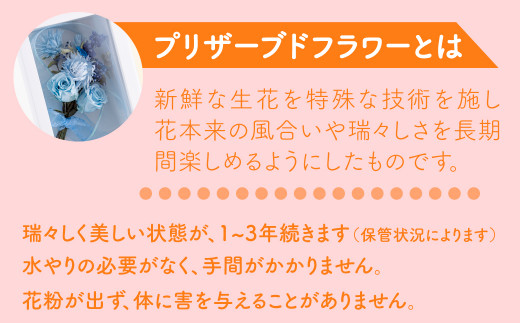 [G295a］ バラの花を中心としたプリザーブドフラワーアレンジ