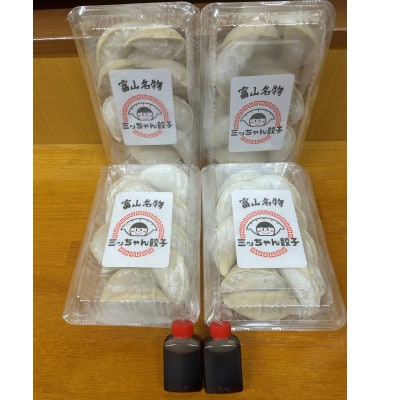 富山名物ミッちゃん餃子　自家製冷凍餃子12個入り4パック【配送不可地域：離島】
