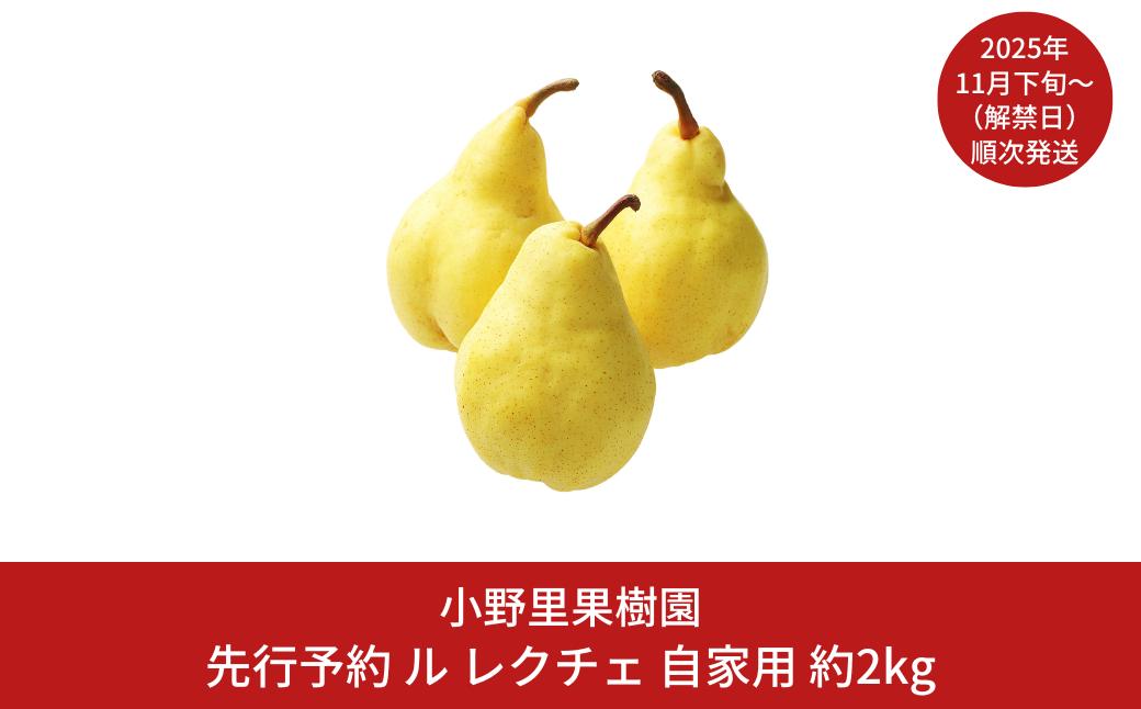 
            先行予約 ル レクチェ 自家用 約2kg(5～7個) ル・レクチェ  新潟県産 洋梨 [小野里果樹園] 【010S392】
          