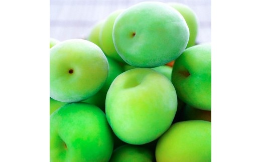 
                  【選べる容量／サイズ】手もぎ 青梅 南高梅 【5～20kg ／L～2Lサイズ or 大粒 3Lサイズ以上】 谷本農園
                