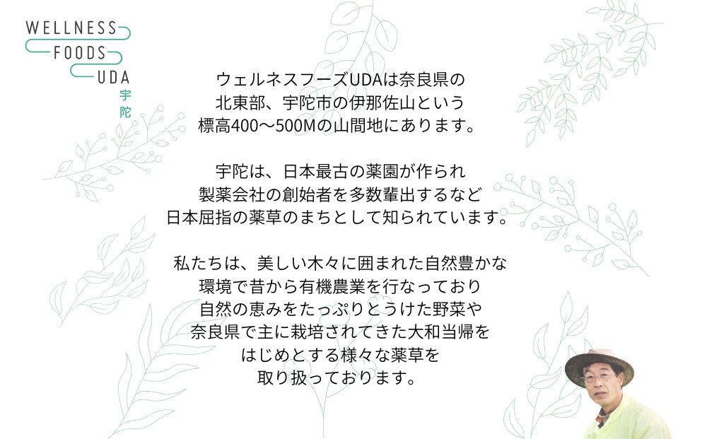 薬草のおふろ とうきかな 入浴剤 １箱(４包入)×２個 /ウェルネスフーズ UDA 大和 当帰 ふるさと納税 おすすめ リラックス ストレス解消 ボディケア 肌荒れ 改善 疲労回復 送料無料 奈良 宇