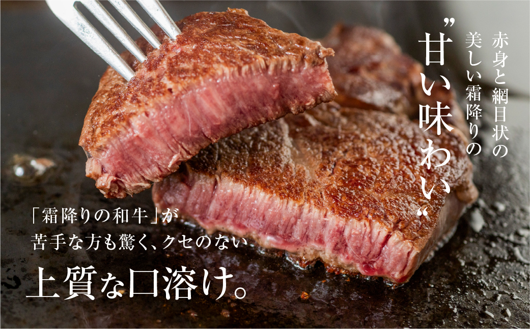 [A5等級] 飛騨牛 シャトーブリアンステーキ 3枚 |牛肉 肉 和牛 国産牛 牛肉 肉 ステーキ ヒレ ヒレステーキ 冷凍 岐阜 本巣市 トキノ屋 食品