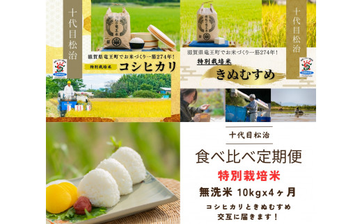  【新米予約】 定期便 コシヒカリ きぬむすめ 食べ比べ 無洗米 各10kg × 4ヶ月 ( 令和6年産 先行予約 新米 白米 10kg 40kg 定期 4回 2品種 お米 おこめ ごはん 米 特別栽培米 ブランド米 ライス こだわり米 ギフト 国産 縁起の竜王米 滋賀県竜王町 )