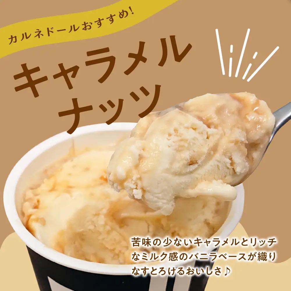 アイス 洋菓子店のこだわりアイス8個セット （全６種）【 お菓子 スイーツ アイス ラクトアイス アイスクリーム 詰め合わせ アイスクリームセット】バニラ/抹茶/キャラメル/ミルクティー/いちご/小倉