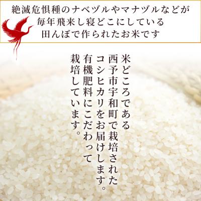 ふるさと納税 西予市 【先行予約】新米 <令和7年産 コシヒカリ「つるの寝どこまい」約5kg 西予市宇和町産> |  | 03