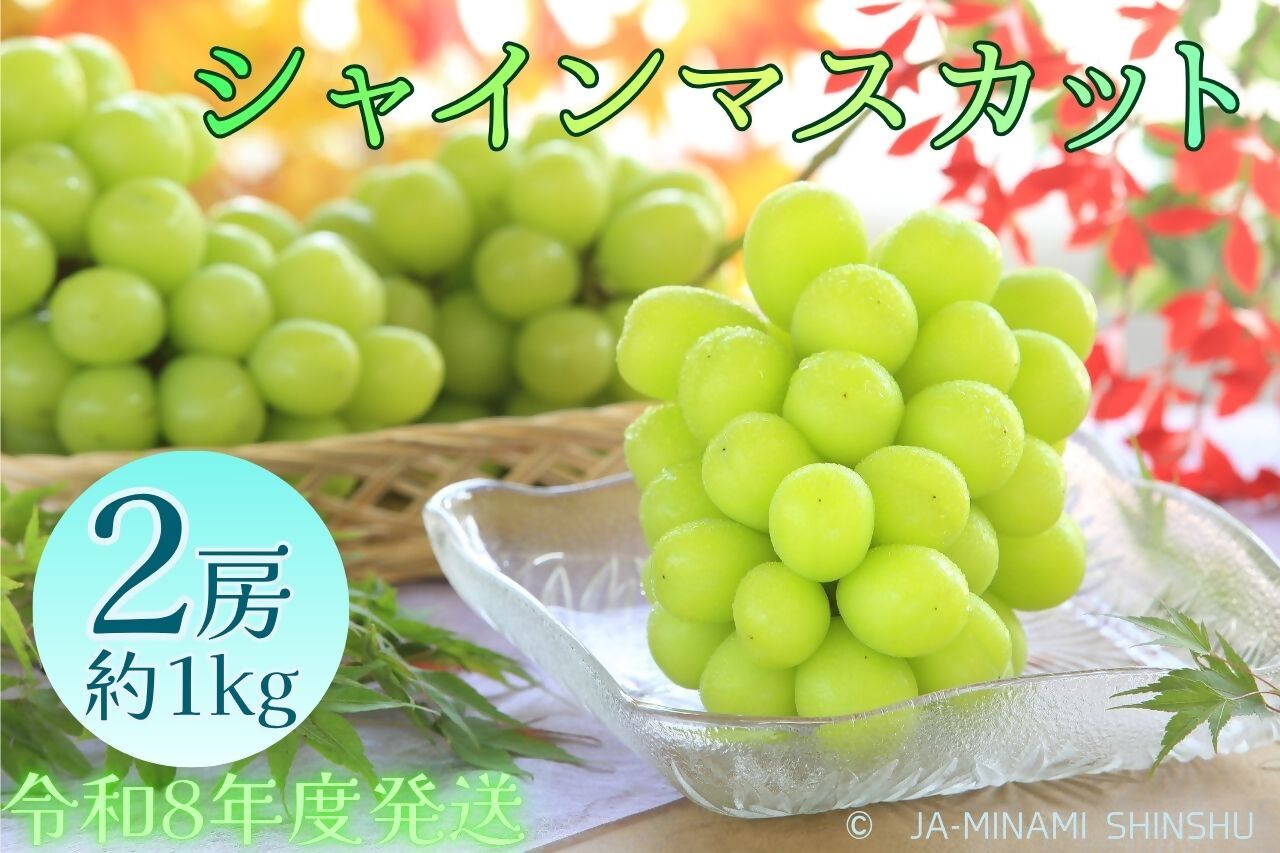 シャインマスカット 秀品 約1kg(2房) 【令和8年度発送先行予約品】