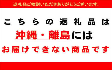 【2026年7月上旬頃から順次発送】【期間限定】地元下呂市の人気者！大地の恵みがぎゅーっと詰まった果肉が厚い 大玉トマト 約 4kg（サイズ混合）≪谷下農園 有機JAS認証農園の完熟トマト使用≫《飛騨