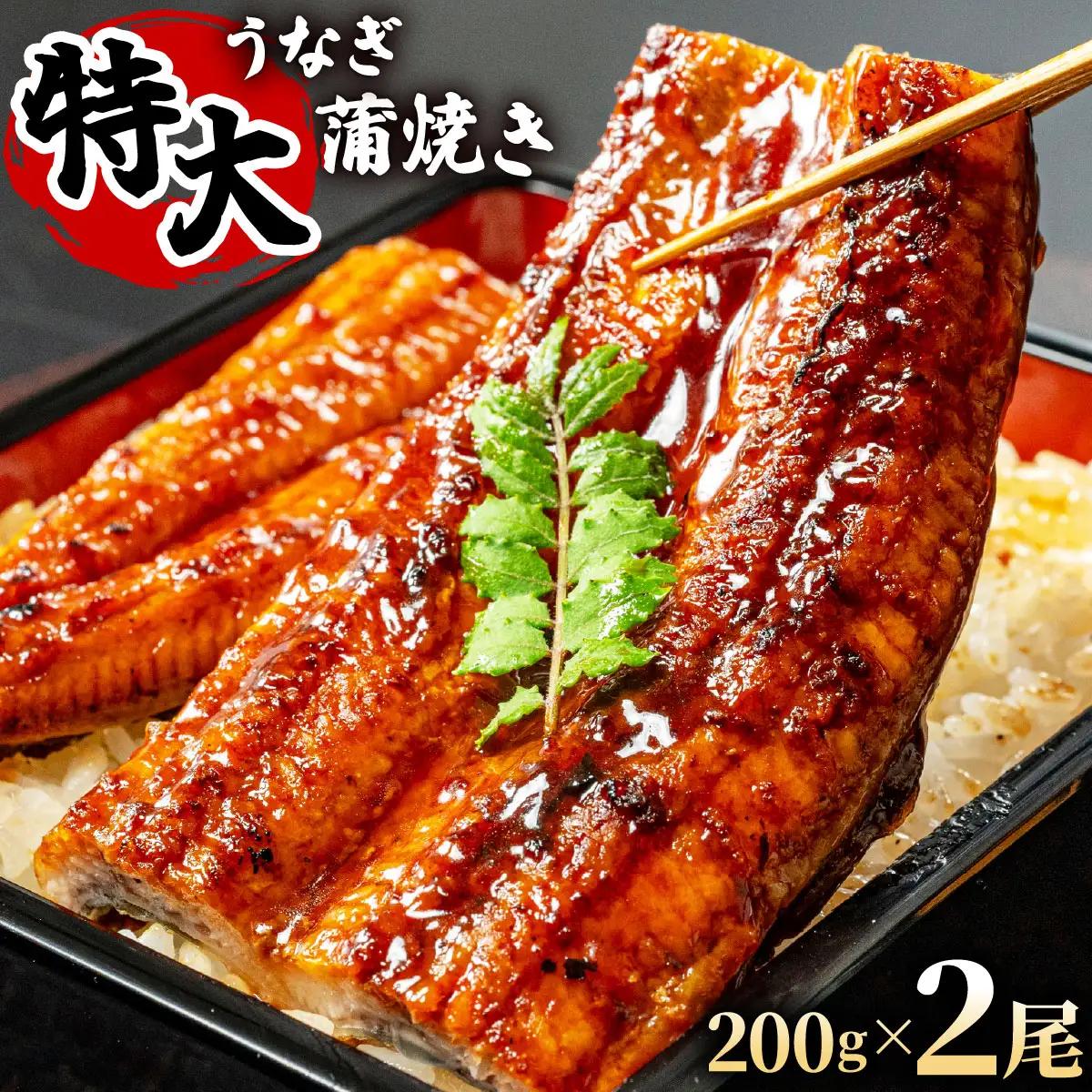 大容量400g！特大うなぎ蒲焼200g×2尾