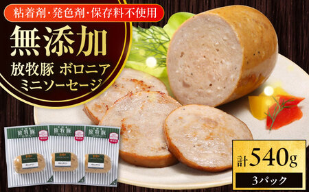 放牧豚 ボロニアミニソーセージ 計540g（180g×3） 豚肉 ソーセージ 無添加 無塩せき 北海道 [AXBA106]