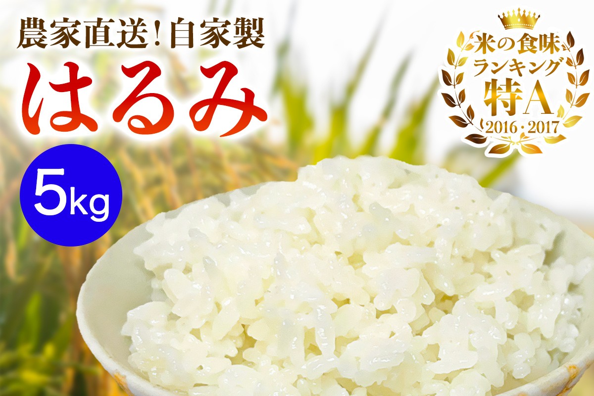
                  新米[令和8年産／10月下旬より順次発送] 伊勢原産 精米5kg はるみ 農家直送！加藤さんちのうんめぇ！自家製米 ｜お米 おこめ コメ 白米 神奈川 伊勢原 ブランド米 [1102]
                