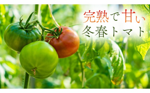 樽栽培ならではの品質・実績に自信あり！