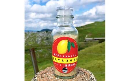 高原からの贈り物 まんてんスパイス 瀬戸内しまなみレモン（2種） 70g×2個 計140g  万能調味料 調味料 セット シチリア風 ベトナム風 スパイス  国産 瀬戸内 愛媛県 【えひめの町（超）推