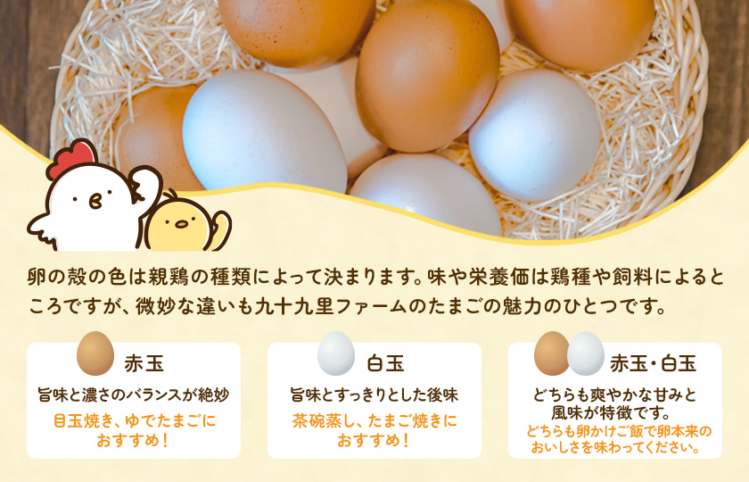 【定期便6回】九十九里ファームこだわりたまご贈答用30個～あおい海・みどりの里～《赤玉》 ／ たまご 卵 玉子 タマゴ 生卵 卵かけご飯 鶏卵 30個 定期便 6回