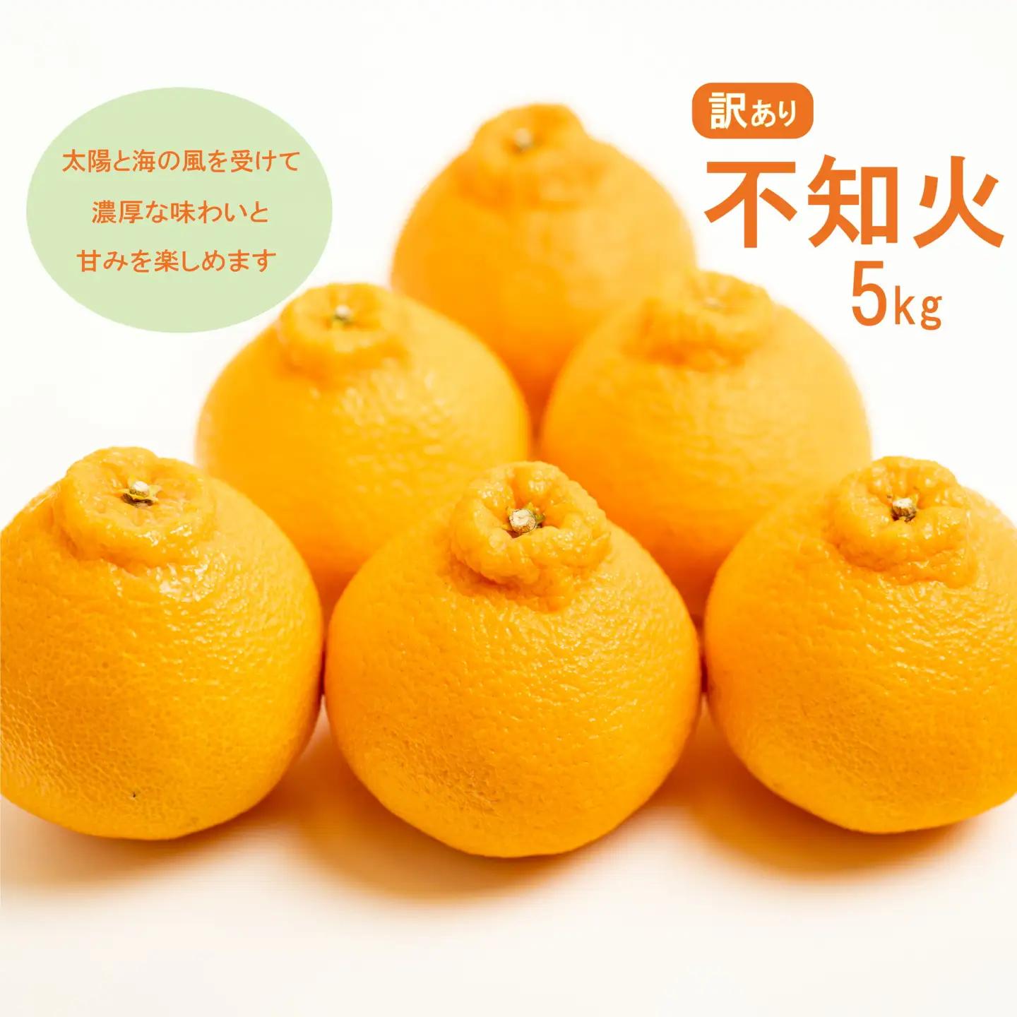 【先行予約】訳あり 減農薬 不知火 5kg 愛南フルーツ 【2027年3月中旬～発送開始】