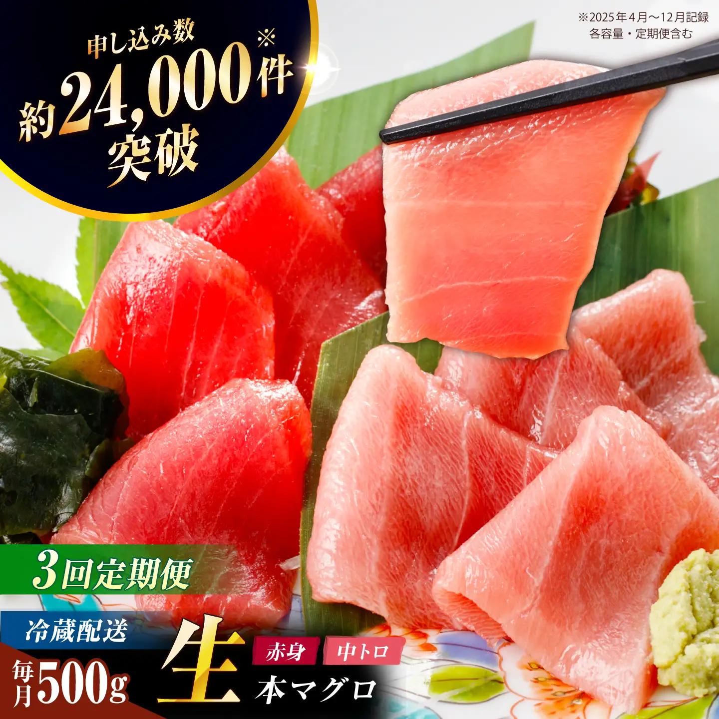 【全3回定期便】五島列島産養殖生本かみマグロ 赤身 中トロ 計約500g[RBP029] まぐろ まぐろ まぐろ まぐろ まぐろ 中トロ 中トロ 九州 長崎