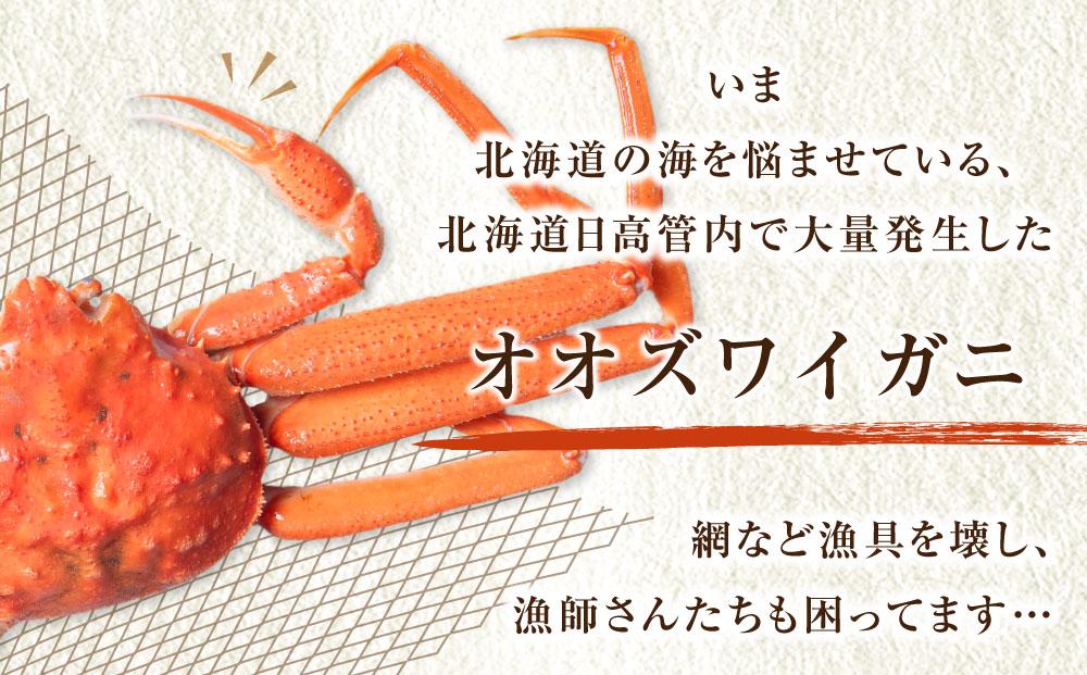 【年内発送】「訳あり」オオズワイガニボイル　4尾　合計約1.8kg