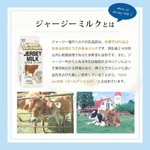 共進牧場 ジャージーミルクアイスクリーム 3種30個[ スイーツ アイス 濃厚 ] お菓子 デザート 希少 風味 コク 鮮度 牛乳 搾りたて 美味しい 