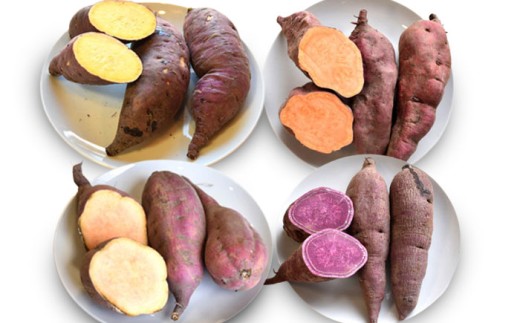 【2026年10月頃より順次発送】和らぎ農法 ほっこり便 さつまいも編 2.5kg（栽培期間中、農薬・化学肥料・動物性堆肥不使用）/ さつまいも セット 食べ比べ 新鮮 野菜 旬 紅はるか ふくむらさき ハロウィンスイート 恋蜜芋 / 滋賀県 栗東市 / ワダケン リアルソイルハウス [BIBM007]