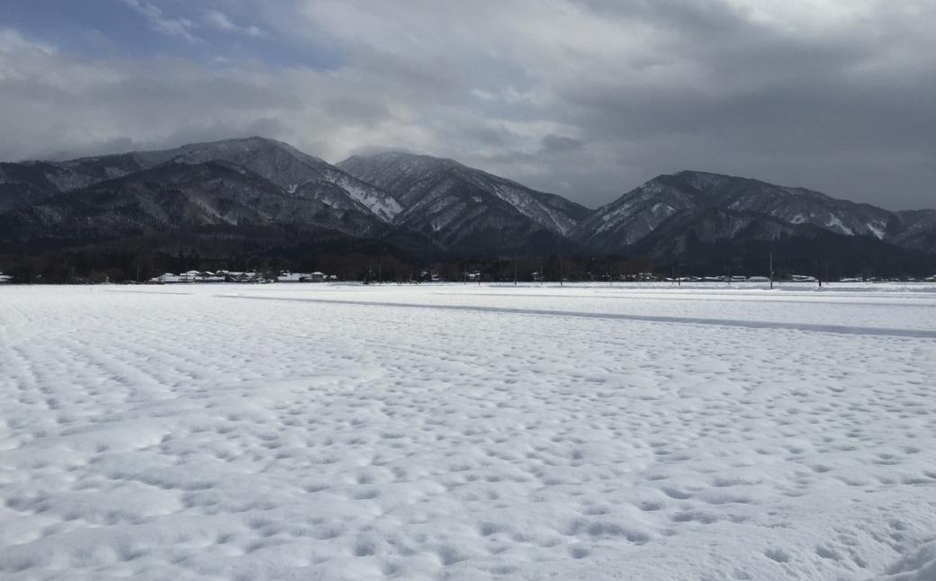 【先行予約】令和7年産新米 農園小嶋屋の五泉産コシヒカリ 5kg