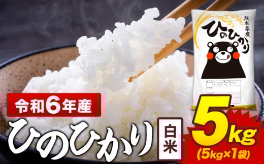 令和6年産 白米 米 ひのひかり 5kg《7-14日以内に出荷予定(土日祝除く)》熊本県 菊池市 国産 熊本県産 白米 精米 送料無料 ヒノヒカリ こめ お米 