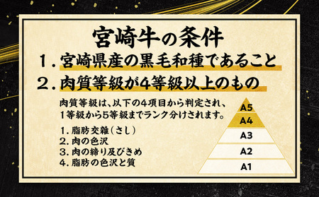 【定期便 全4回(３ヶ月に１回お届け)】宮崎牛 バラエティー定期便 カルビ焼肉 切り落とし ミンチ