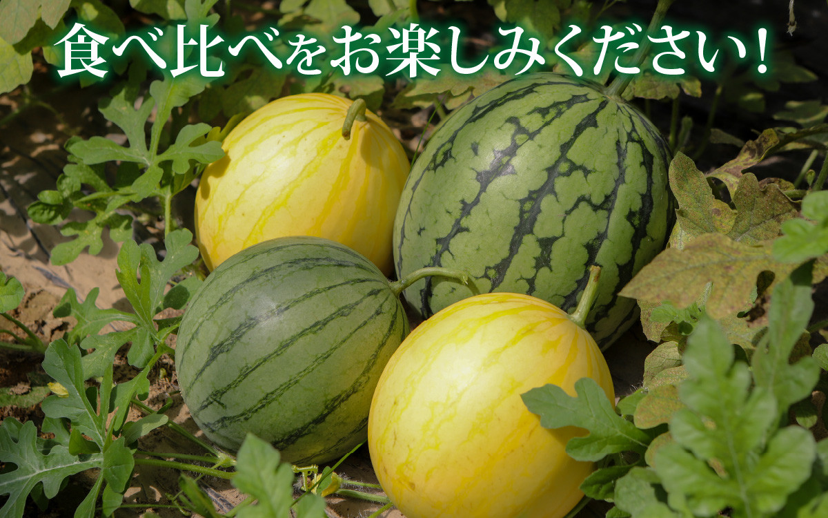 金福すいか