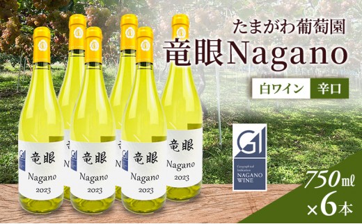 
                  ワイン　竜眼Nagano　【GI長野】認定　750ｍｌ×6本 | 白ワイン お酒 酒 竜眼 長野市産 人気 おすすめ 辛口 フルーティー ワイナリー 葡萄 ギフト プレゼント 家飲み 飲み比べ 送料無料 長野県 長野市 信州 信濃 ふるさと納税
                