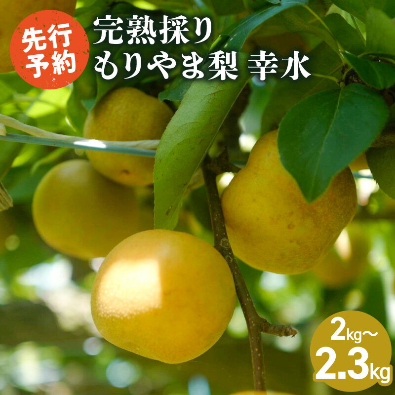 【ふるさと納税】先行予約　完熟採り　もりやま梨　幸水　2キロ～2.3キロ