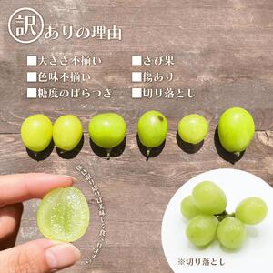 ＜25年発送先行予約＞ 【訳あり】 シャインマスカット 粒 2kg以上 154-033