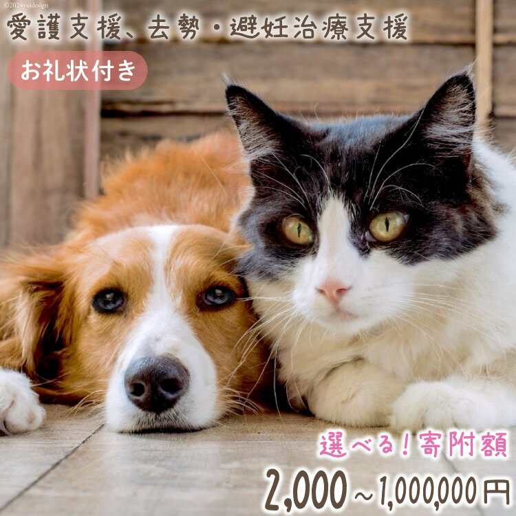 【ふるさと納税】 選べる 寄附額 愛護支援 去勢 避妊治療支援 [Animal Care Salvation 福岡県 筑紫野市 21760871] 動物 ペット 愛護 TNR 保護 動物福祉 保護施設 里親 犬 猫 イヌ ネコ いぬ ねこ 動物愛護 保護活動 支援