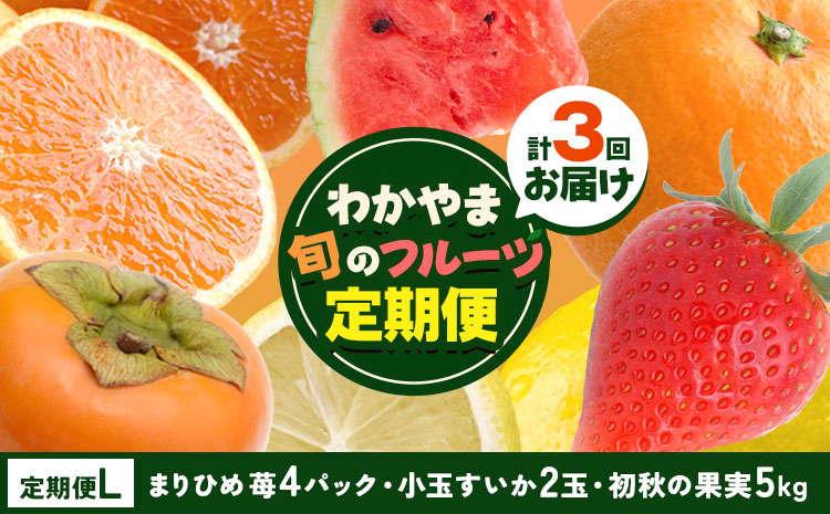 わかやま旬の フルーツ 定期便 【全3回】内容量 L 有田マルシェ《発送月固定・全3回出荷》 和歌山県 日高町 苺 いちご 柑橘 オレンジ 小玉 スイカ レモン みかん 有田 みかん 柿 果物 定期 