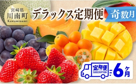果物【 全6回定期便 】 デラックス 定期便 【奇数月】 【 川南町産 きんかん いちご 完熟 マンゴー ぶどう ピオーネ 赤肉 メロン 】ⅡⅨ [C11719t6]