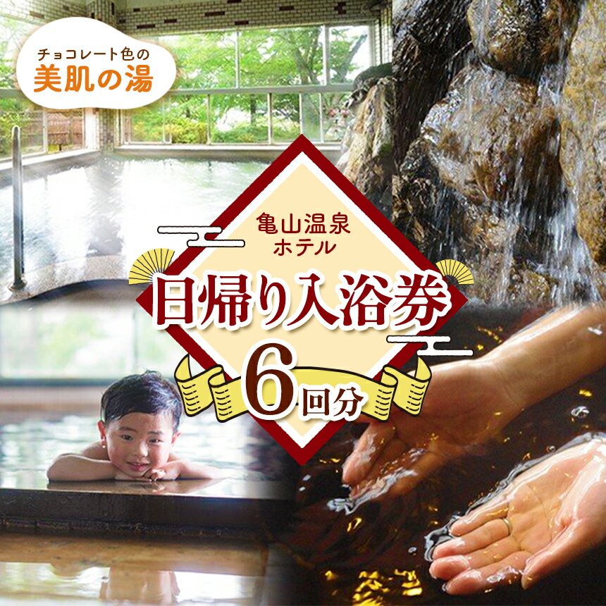 【ふるさと納税】亀山温泉 ホテル 日帰り入浴券 （6回） | グループでの利用もOK！ 亀山湖 展望風呂 チョコレート色 天然自噴温泉 源泉100％ かけ流し 君津 きみつ 千葉