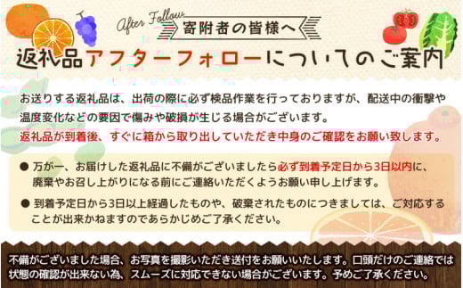 【全3回】紀州和歌山産旬のフルーツ定期便 (スイカ・桃・ひらたね柿)【tkb380】