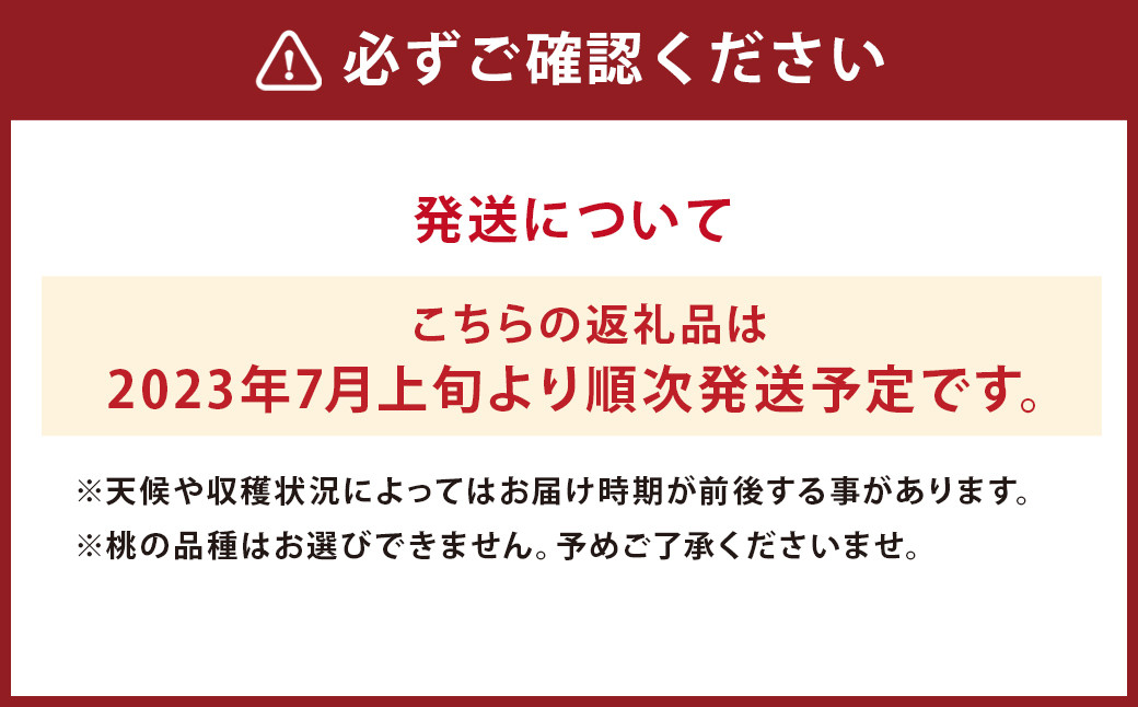 【2023年7月発送】桃 (あかつき・川中島白桃) 詰合せ 約2kg モモ もも フルーツ 果物 くだもの