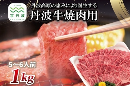 【京丹波・丹波牛】 丹波牛 焼肉用 1kg 5～6人前 【 黒毛和牛 国産牛 焼肉 丹波牛 赤身 霜降り 焼肉のタレ付き たれ 京都 丹波 いづつ屋 】 [048IZ001]