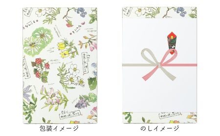 『チーズとショコラのスフレとタルトのセット』 12個入り 1箱 人気の大糸チーズ、半熟ショコラ、淡雪チーズタルト 優しい味わい ギフトにもおすすめ 新潟県 糸魚川市 ナカシマ のし対応可 チーズケーキ