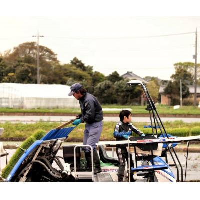 ふるさと納税 大網白里市 令和6年産千葉県産コシヒカリ 精米 10kg (5kg×2袋) |  | 02