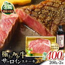 【ふるさと納税】【全3回定期便】熊本県産 あか牛 サーロインステーキセット 計400g ( 200g × 2枚 ) 冷凍 専用タレ付き あか牛のたれ付き 熊本和牛【有限会社 三協畜産】[YCG062]