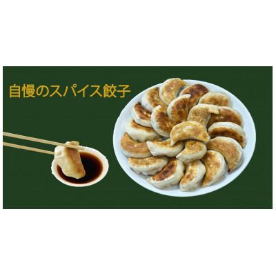 ふるさと納税 草津市 スパイス餃子40個