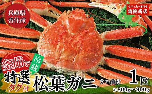 【特選 釜茹で 松葉ガニ 1匹（約800g～900g）冷蔵】11月中旬以降配送予定 兵庫県 香美町 香住 柴山 ズワイガニ 宿院商店 100000円 33-28