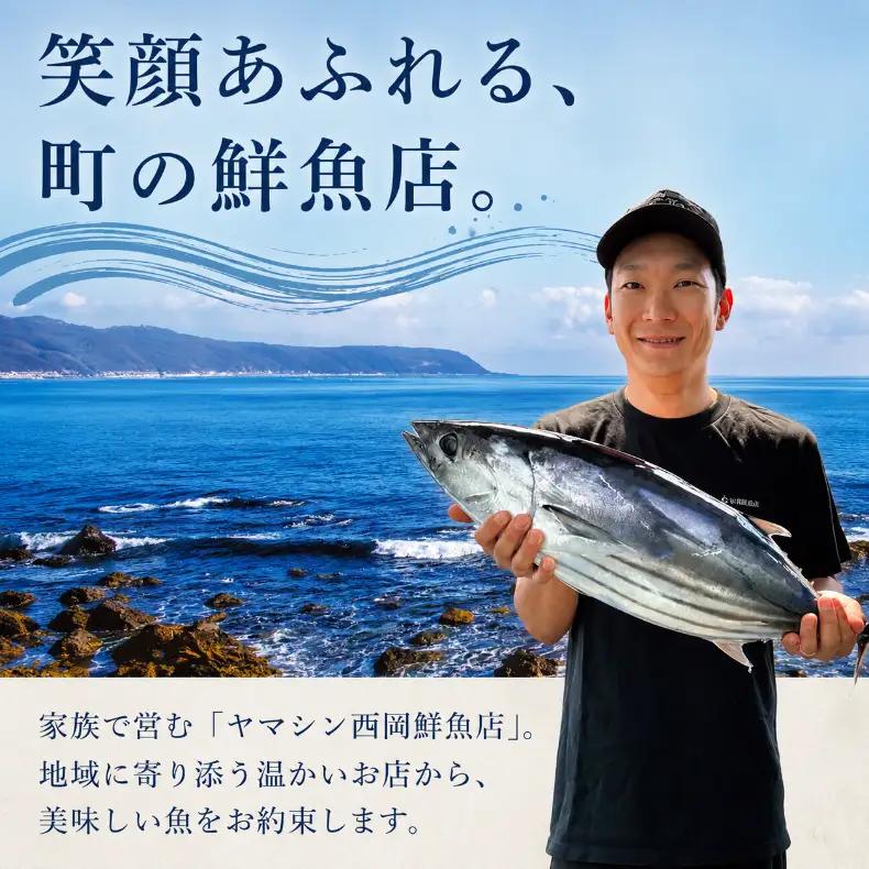 訳あり かつおのたたき 1.5kg かつお