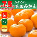 【ふるさと納税】みかん Lサイズ 秀品 箱込 7.5kg (内容量約 6.8kg) 有田みかん 和歌山県産 産地直送 贈答用 【みかんの会】 | フルーツ 果物 くだもの 食品 人気 おすすめ 送料無料