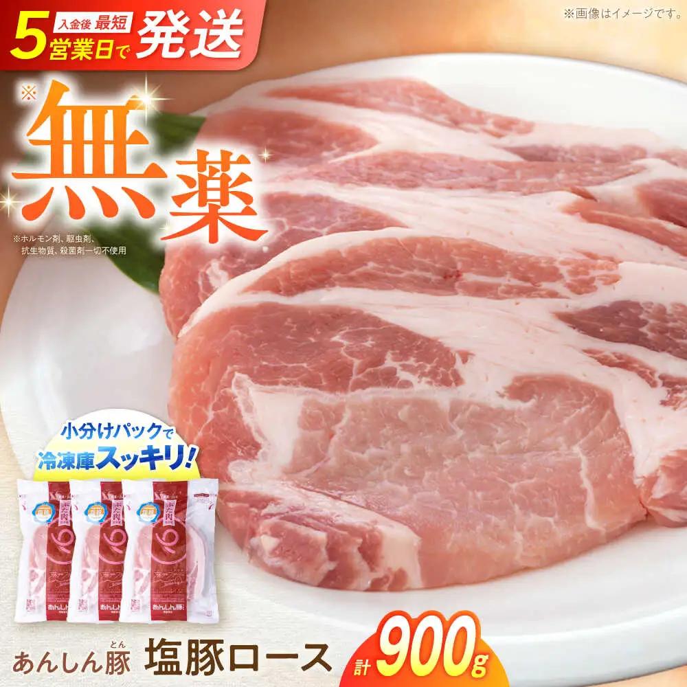 塩豚ロース 計900g  藤井ファーム[AWAF053]豚ロース